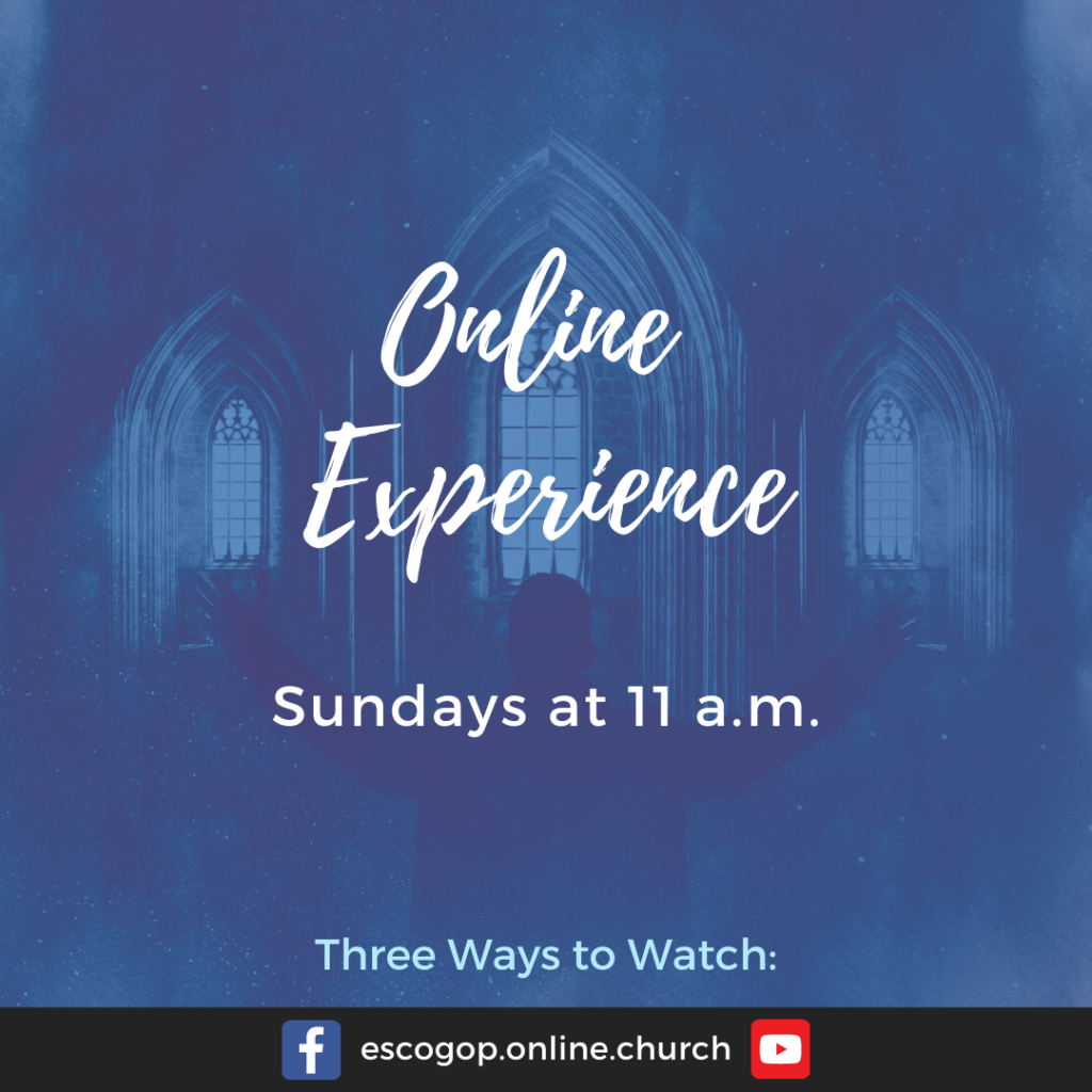 Online Experience
